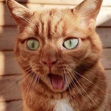 Cross stitch pattern: #2521543