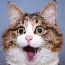 Cross stitch pattern: #2521546