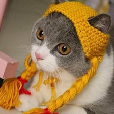 Cross stitch pattern: #2521559