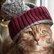 Cross stitch pattern: #2521561