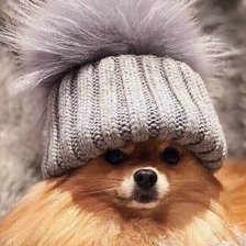 Cross stitch pattern: #2521567