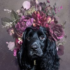 Cross stitch pattern: #2521767