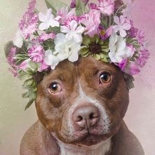 Cross stitch pattern: #2521768