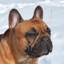 Cross stitch pattern: #2521780