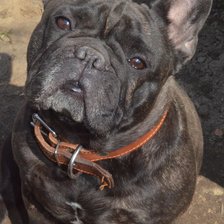 Cross stitch pattern: #2521781