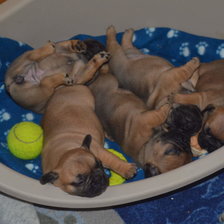 Cross stitch pattern: #2521787