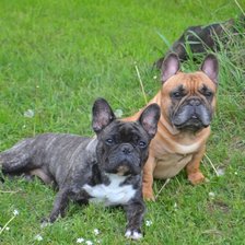 Cross stitch pattern: #2521788