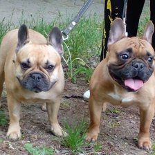 Cross stitch pattern: #2521791