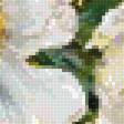 Preview of cross stitch pattern: #2521830