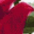 Preview of cross stitch pattern: #2522018