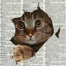 Cross stitch pattern: #2525264