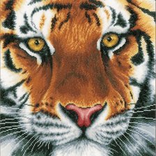 Cross stitch pattern: #2526841