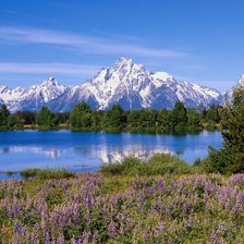 Cross stitch pattern: #2529047