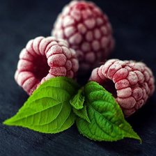 Cross stitch pattern: #2529176