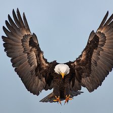 Cross stitch pattern: #2529691