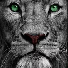 Cross stitch pattern: #2531422