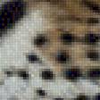 Preview of cross stitch pattern: #2533061