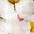 Preview of cross stitch pattern: #2533081