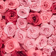 Cross stitch pattern: #2533257