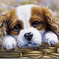 Cross stitch pattern: #2533867