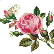 Cross stitch pattern: #2534805