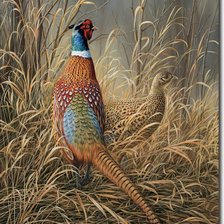 Cross stitch pattern: #2535534