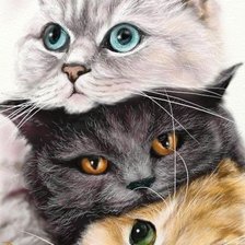 Cross stitch pattern: #2535907