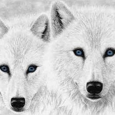 Cross stitch pattern: #2536289