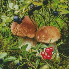 Cross stitch pattern: #2538904