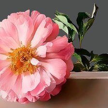 Cross stitch pattern: #2547583