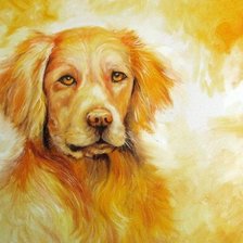 Cross stitch pattern: #2549607