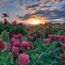 Cross stitch pattern: #2549633