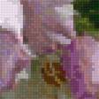 Preview of cross stitch pattern: #2551155