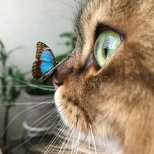 Cross stitch pattern: #2551419
