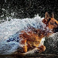 Cross stitch pattern: #2552592