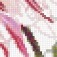 Preview of cross stitch pattern: #2554937