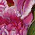 Preview of cross stitch pattern: #2555149