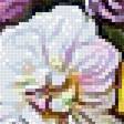 Preview of cross stitch pattern: #2555999