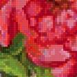 Preview of cross stitch pattern: #2556552