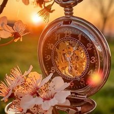 Cross stitch pattern: #2557363