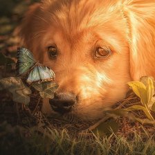 Cross stitch pattern: #2557412