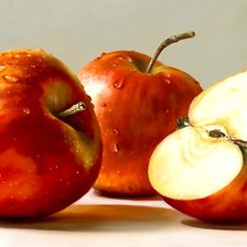 Cross stitch pattern: #2557605