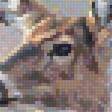 Preview of cross stitch pattern: #2557832