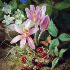 Cross stitch pattern: #2559309