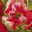 Preview of cross stitch pattern: #2559540