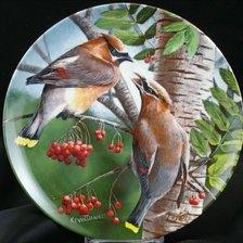 Cross stitch pattern: #2559593