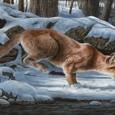 Cross stitch pattern: #2559613