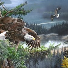 Cross stitch pattern: #2559615