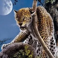 Cross stitch pattern: #2559652