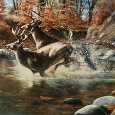 Cross stitch pattern: #2559657